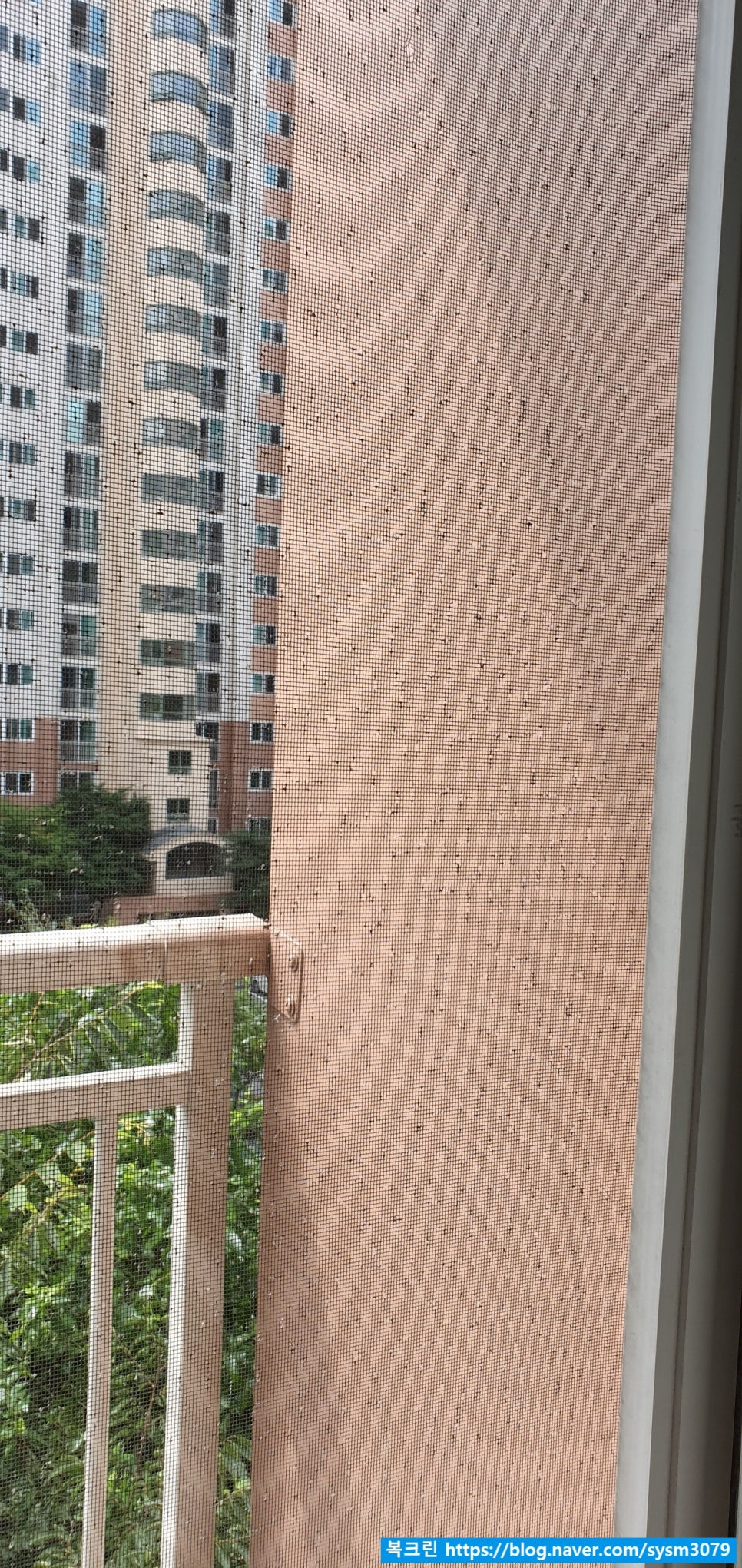 복크린 이미지