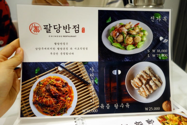 동일반점 이미지