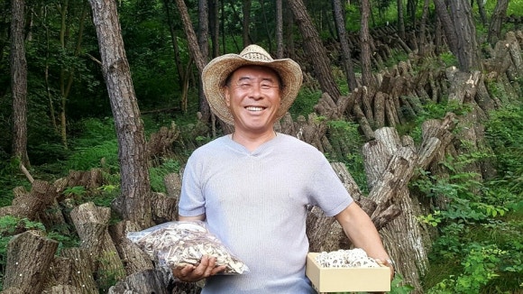 숲사랑농원 이미지