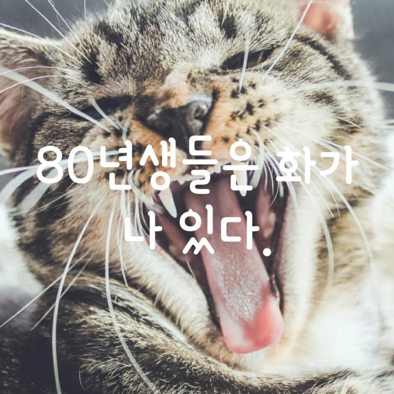 정다원힐링센터 이미지