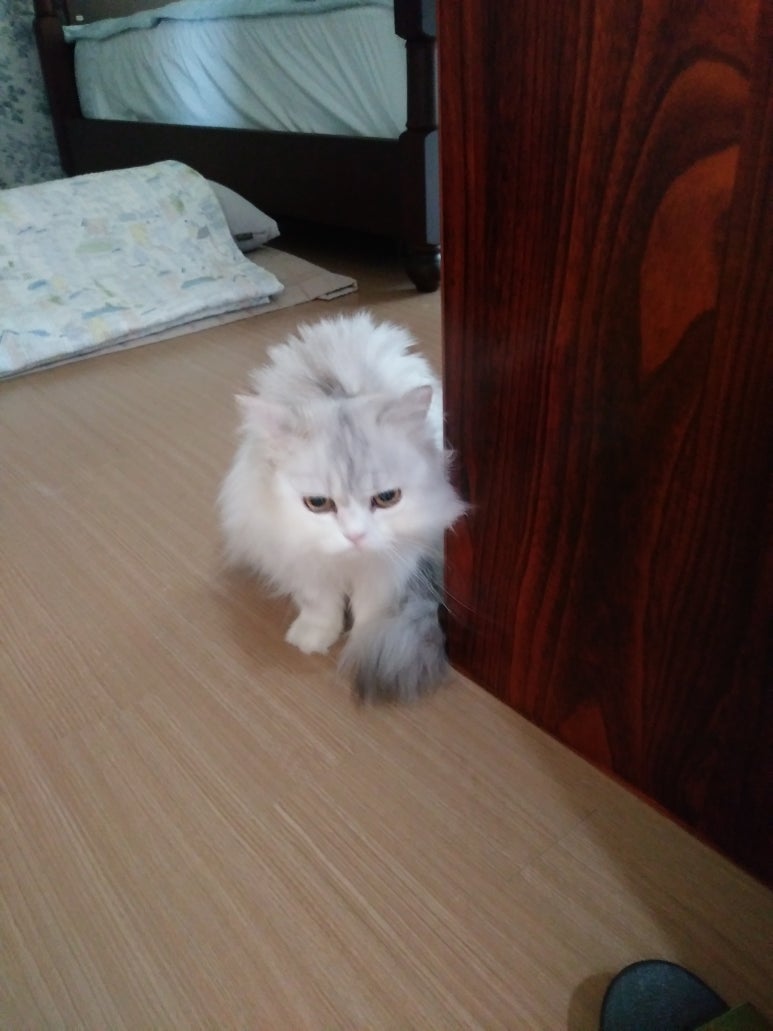 월드크리닝우리마트 이미지