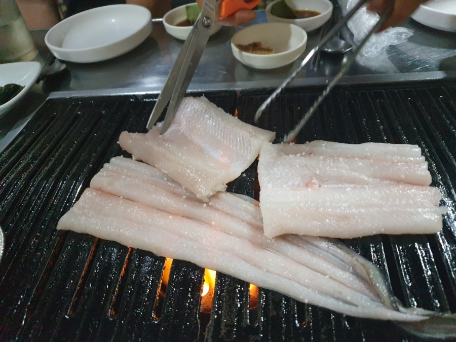 남해바다장어 이미지