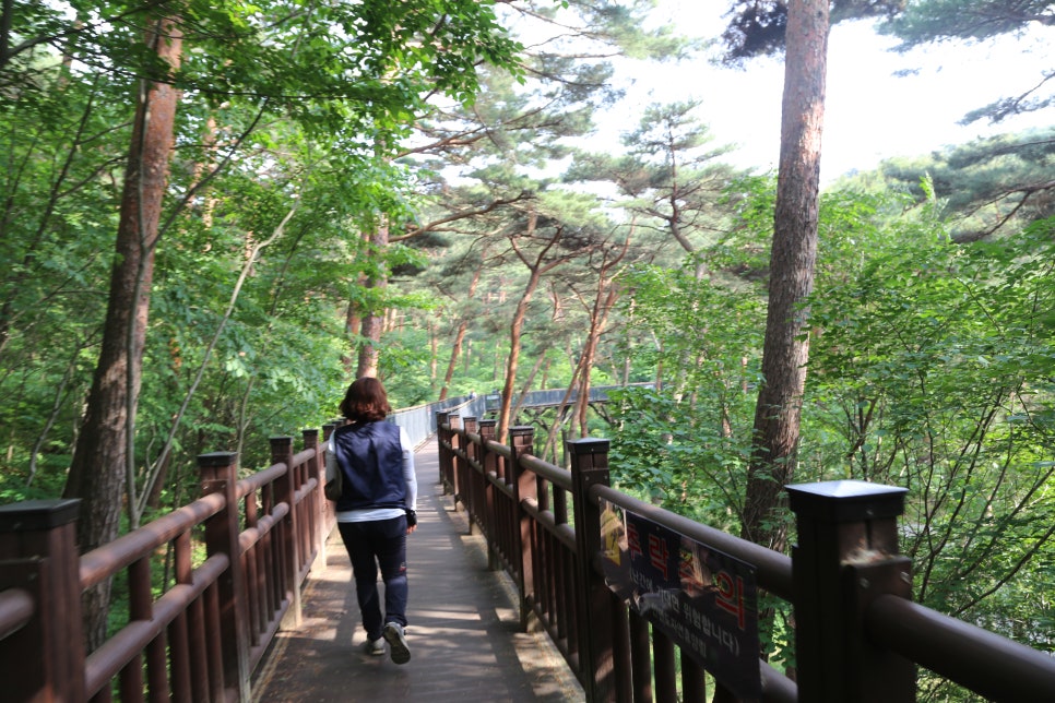 은정상회 이미지
