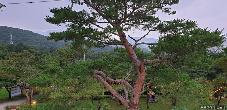 백운라바 이미지