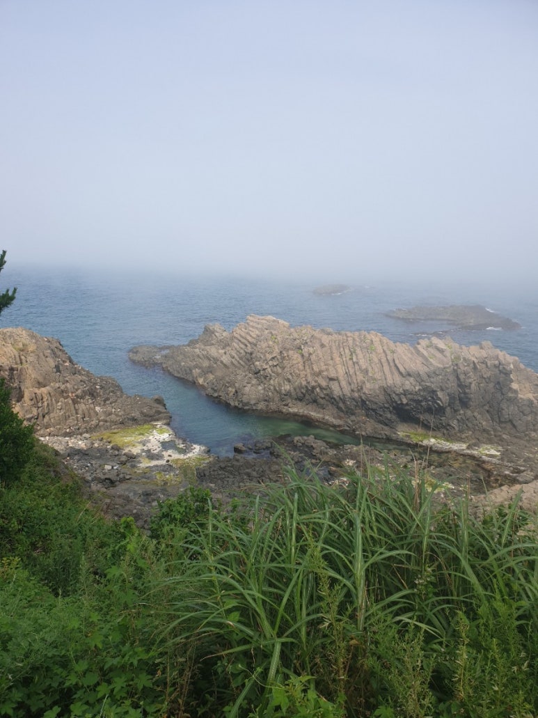 카페콜로네이드 이미지