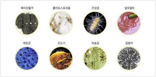 디테일링미르 이미지