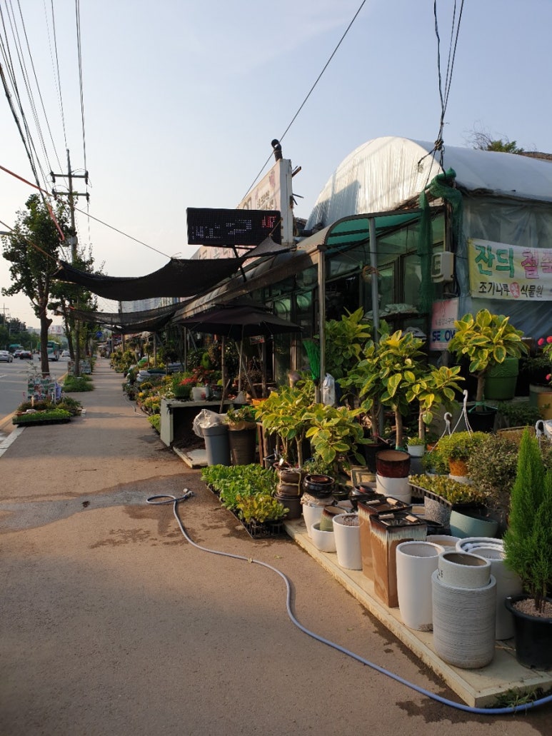 화원꽃마을 이미지