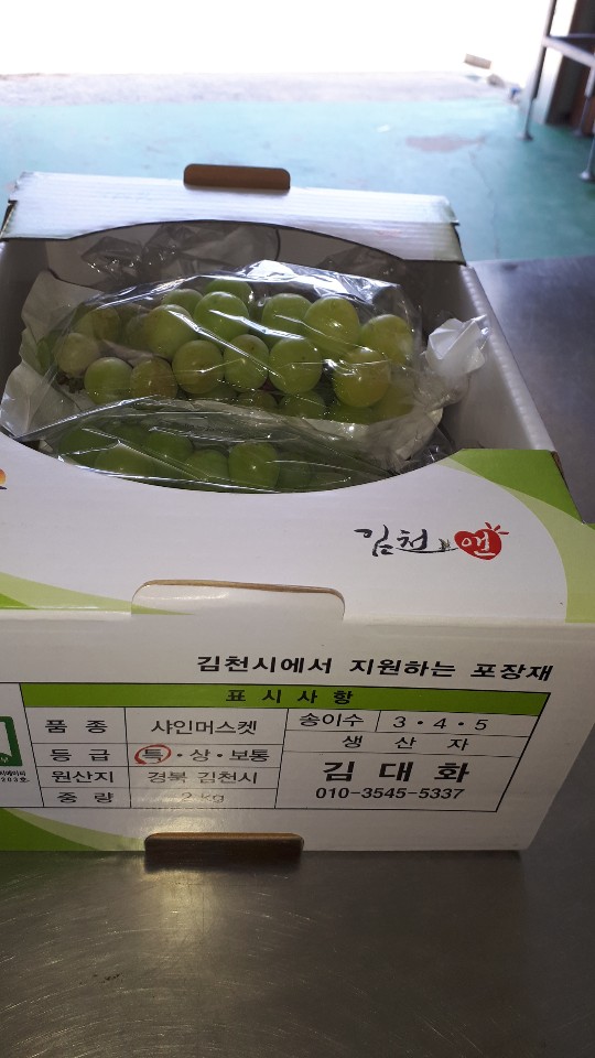 샤인정보 이미지