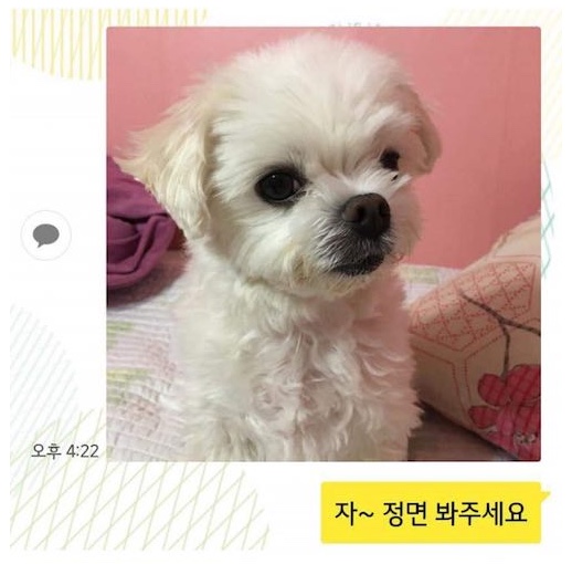 유동커피부산 이미지