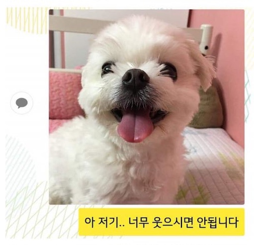 유동커피부산 이미지