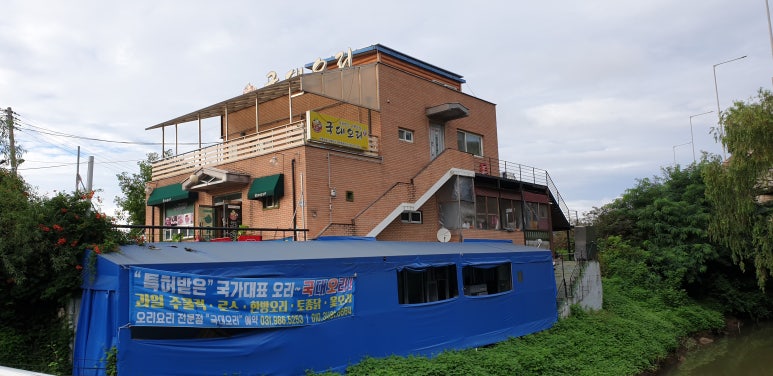 국대오리 이미지