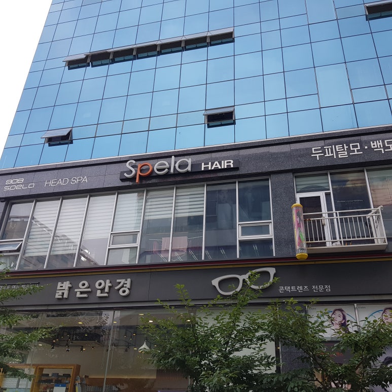 스펠라 헤어 메디컬 이미지