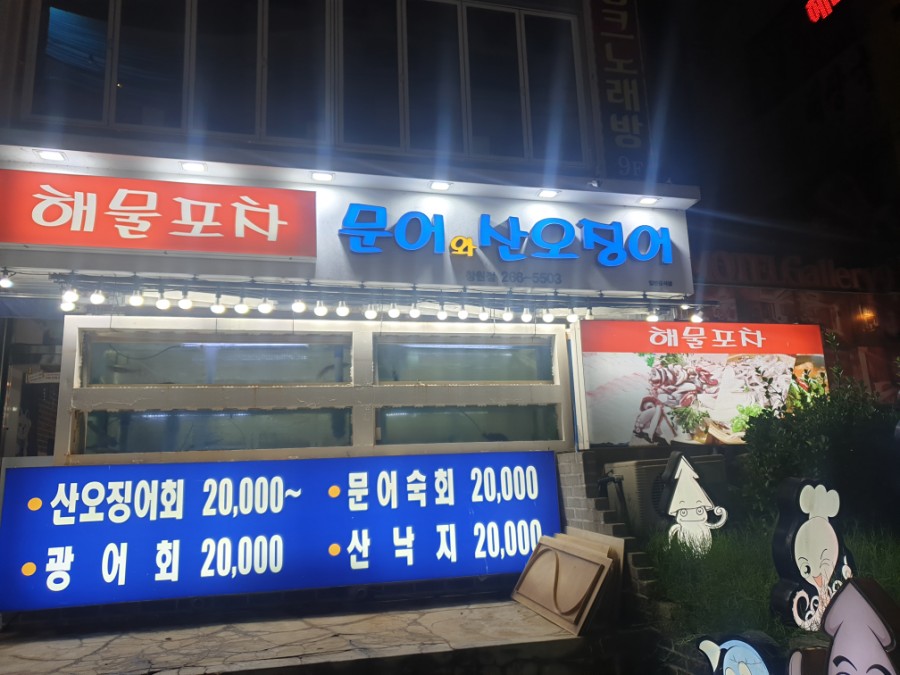 문어와산오징어 이미지