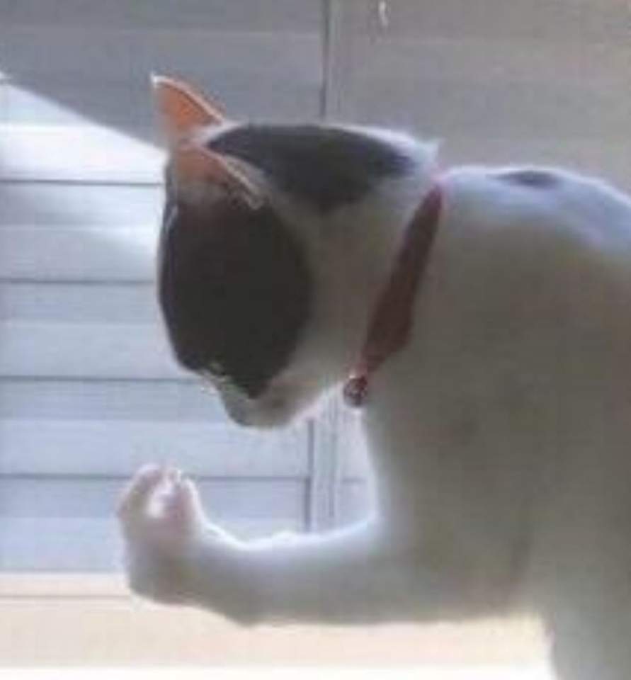 핑거스냅 이미지