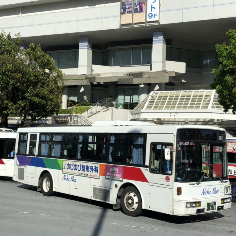 나라이카나이 이미지