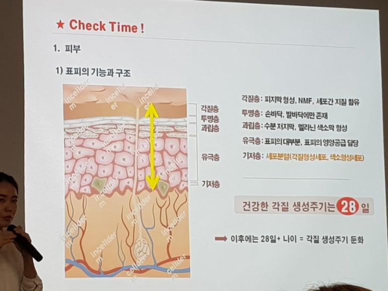 인셀덤사랑 이미지