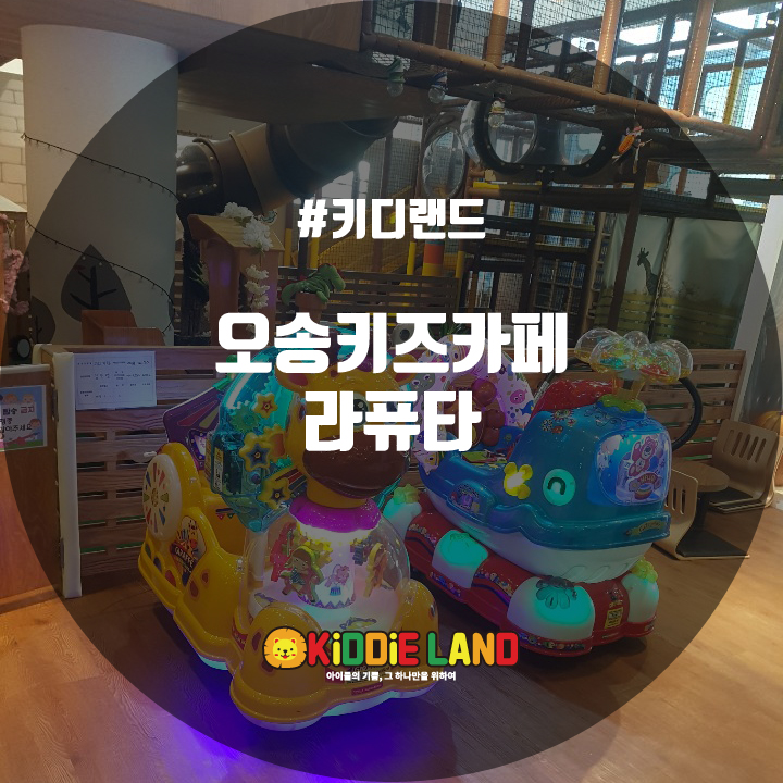 라퓨타오송키즈카페 이미지