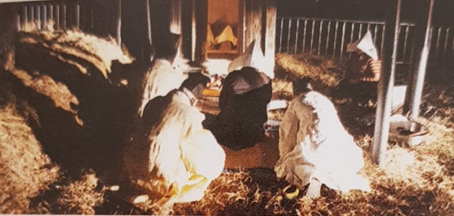 새내역사체험마을 이미지