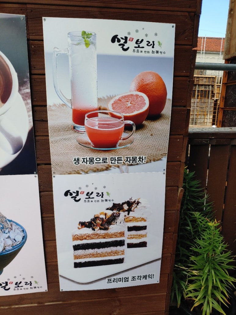 설보리 이미지