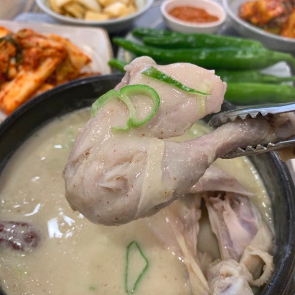 흙뿌리진안홍삼 이미지