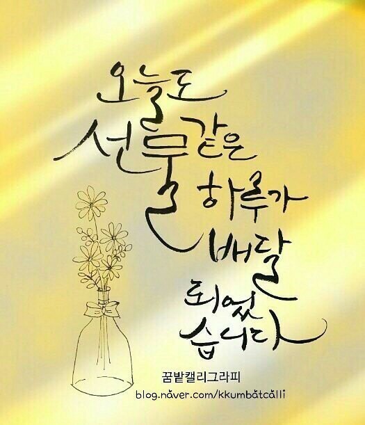 다빈스 이미지