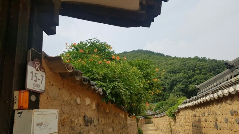 드론스쿨인터네셔널 이미지