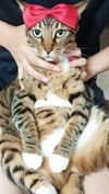 버블맨24시 이미지