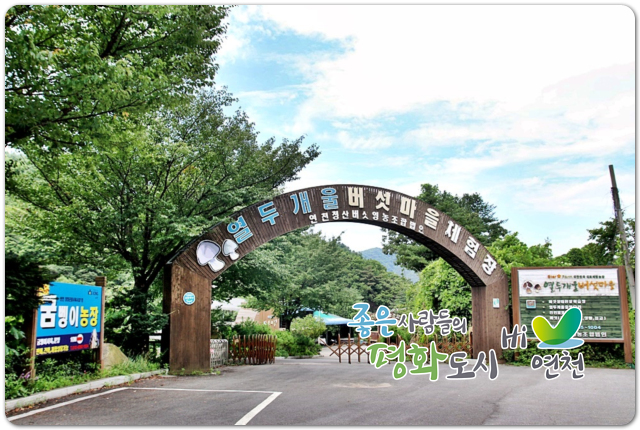 열두개울버섯마을 이미지