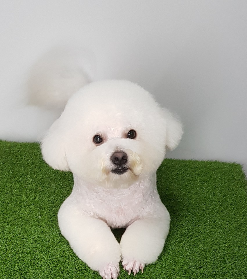 파리바게뜨수원탑동 이미지
