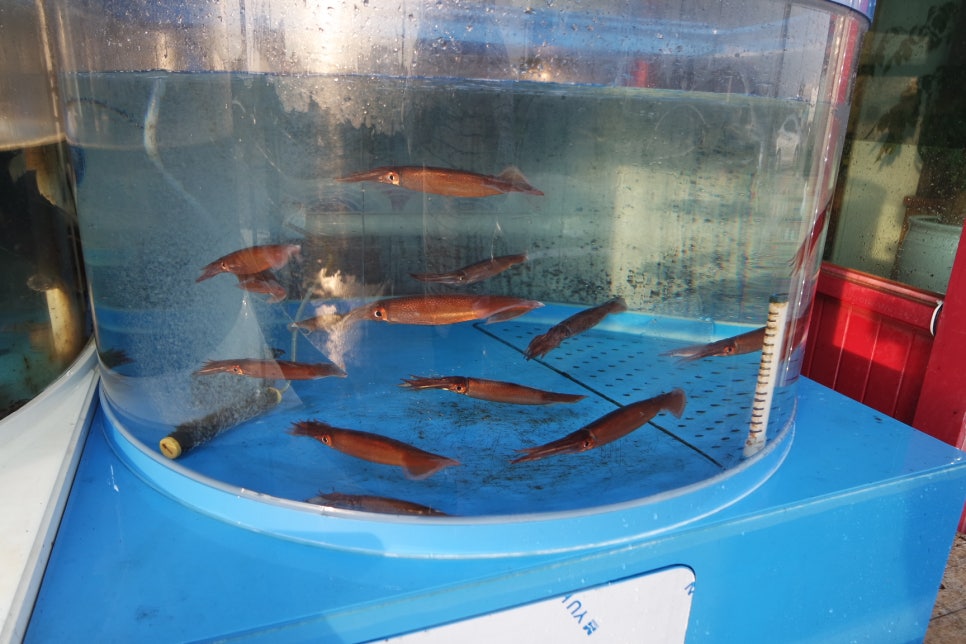 지은수산 이미지