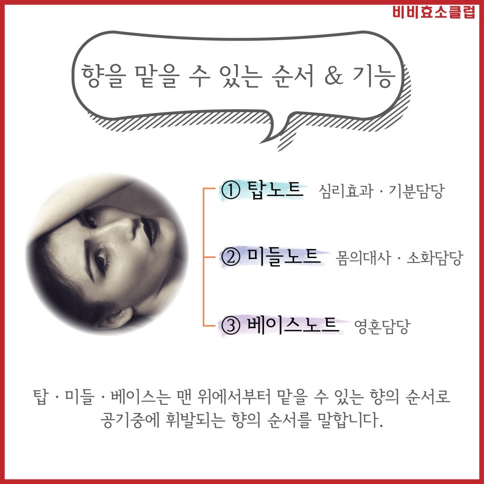 비비테라피 이미지