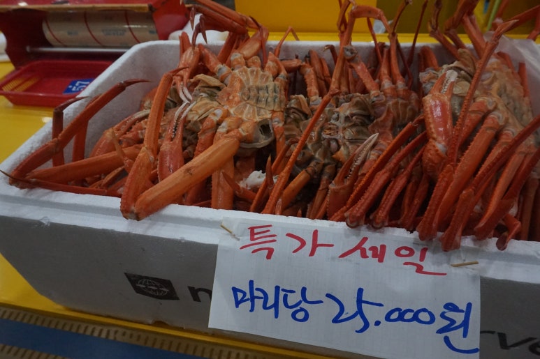 일산수산물시장 이미지