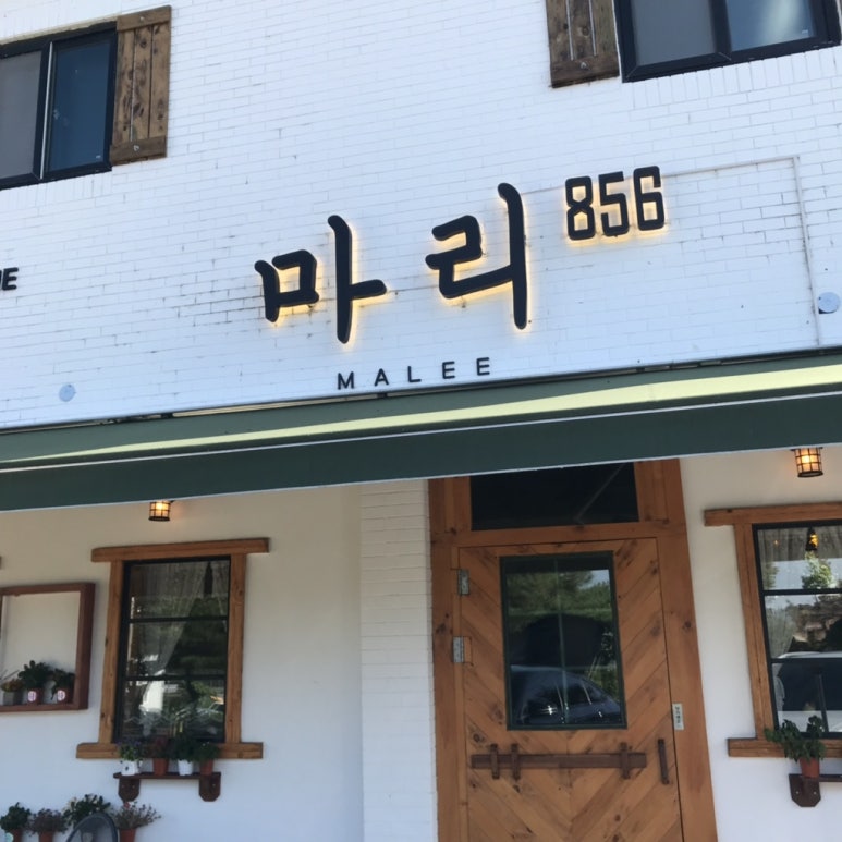 마리856 이미지