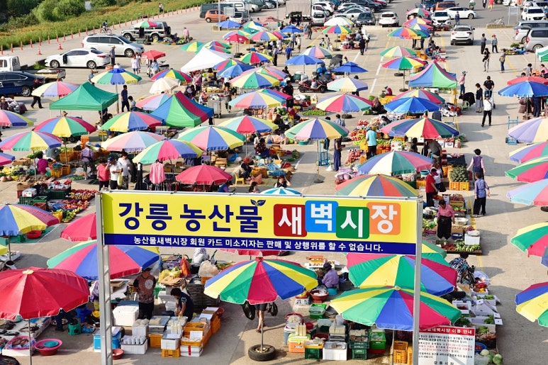 새벽시장 이미지