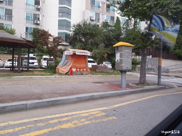 옛날생돈가스 이미지