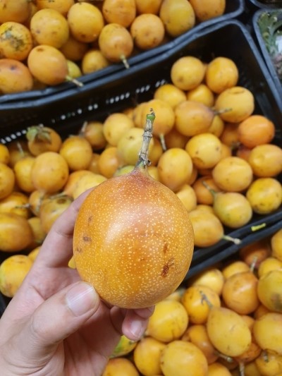 이패션마트 이미지