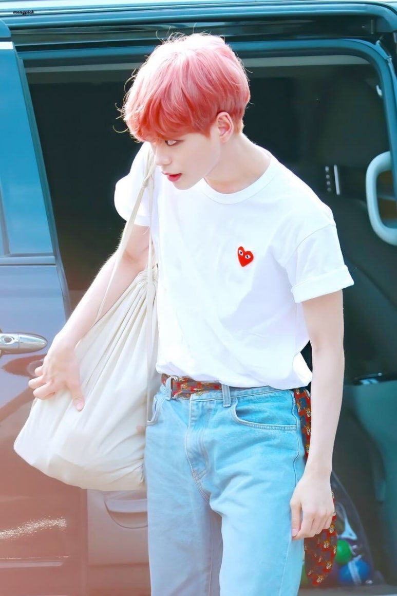 민트젤리 이미지