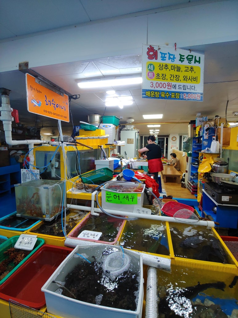 해숙이네 이미지