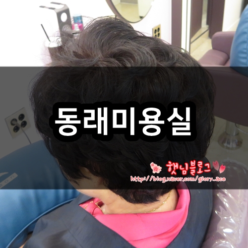 미장원숄 이미지