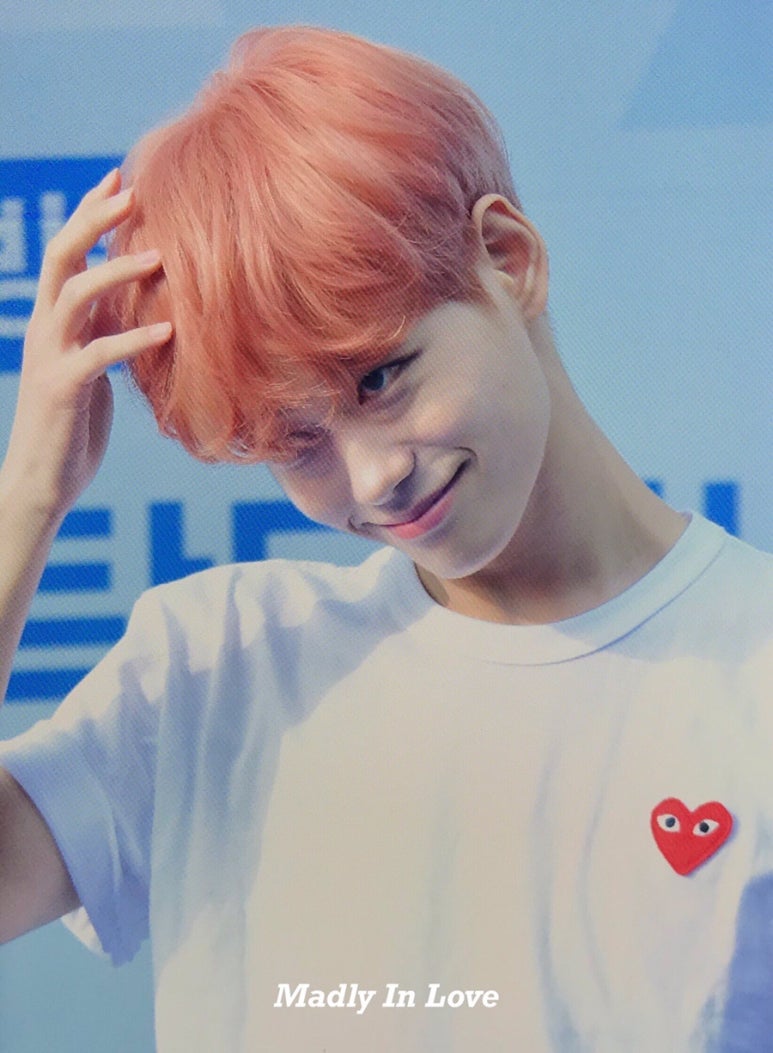 민트젤리 이미지