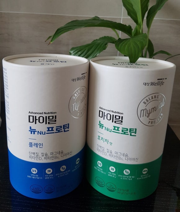 스타웰라이프 이미지