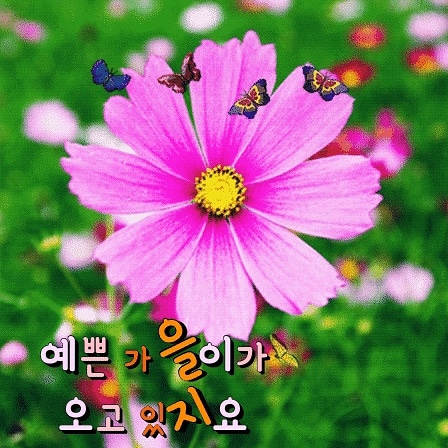 지엠케이 이미지