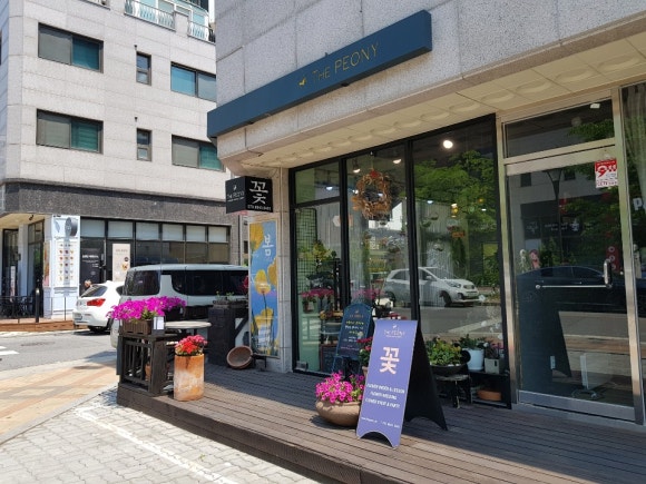 보르미네일 이미지