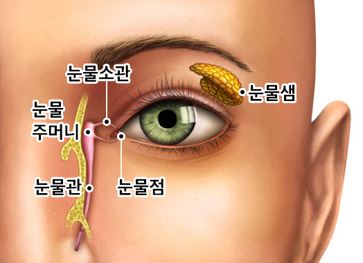 서울삼성안과 이미지