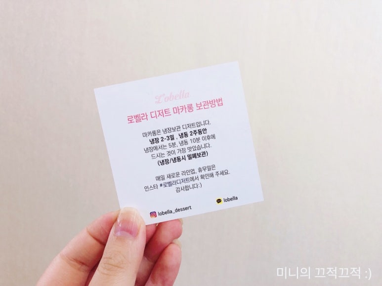 로벨라 이미지
