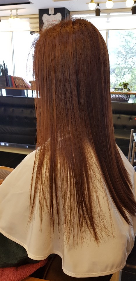 스펠라 헤어 메디컬 이미지
