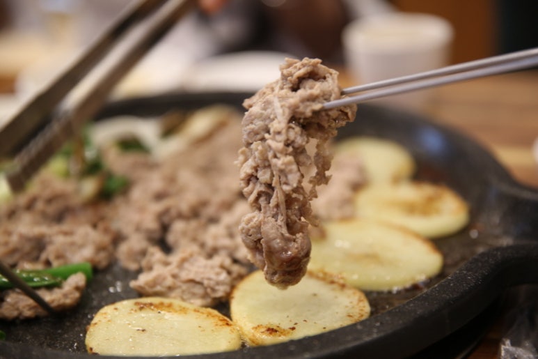 황칠오리 이미지