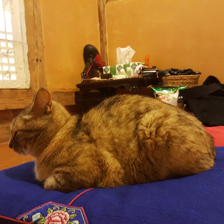 강진소소원 이미지