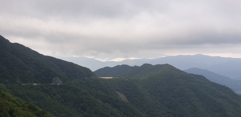 장수반점 이미지