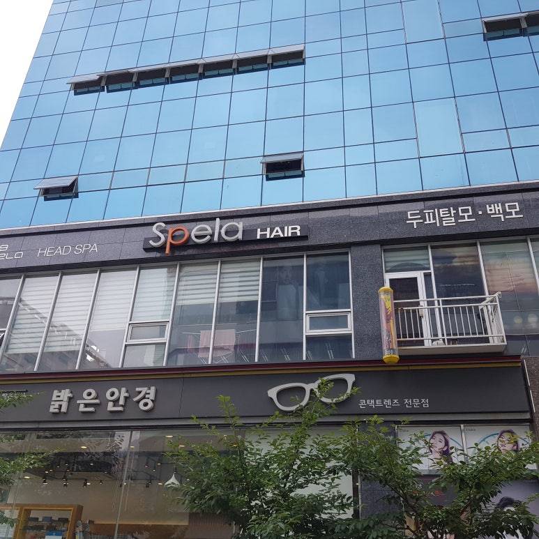 스펠라 헤어 메디컬 이미지